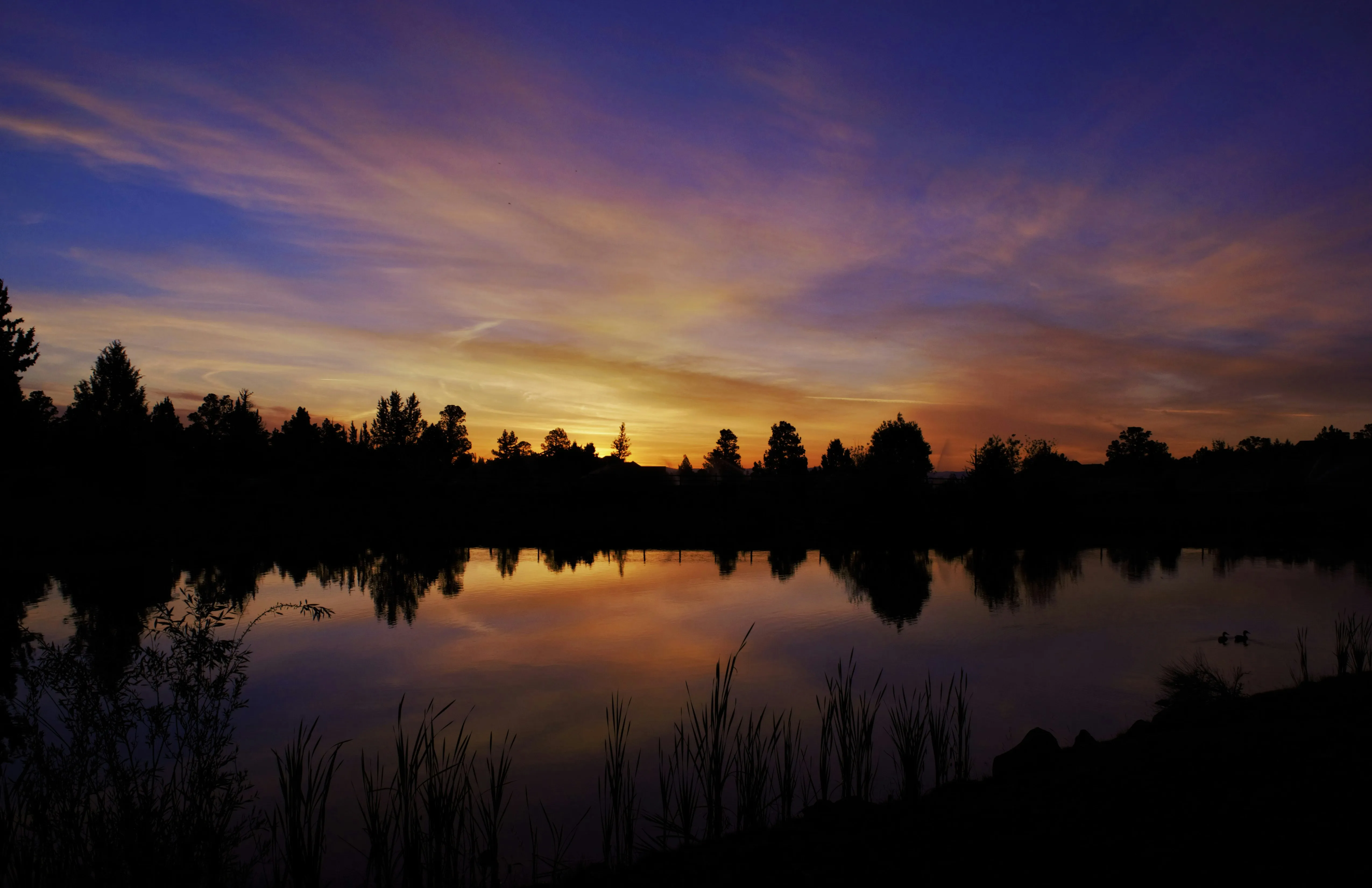 silhouette of trees near body of water painting by Rick Medlen courtesy of Unsplash.