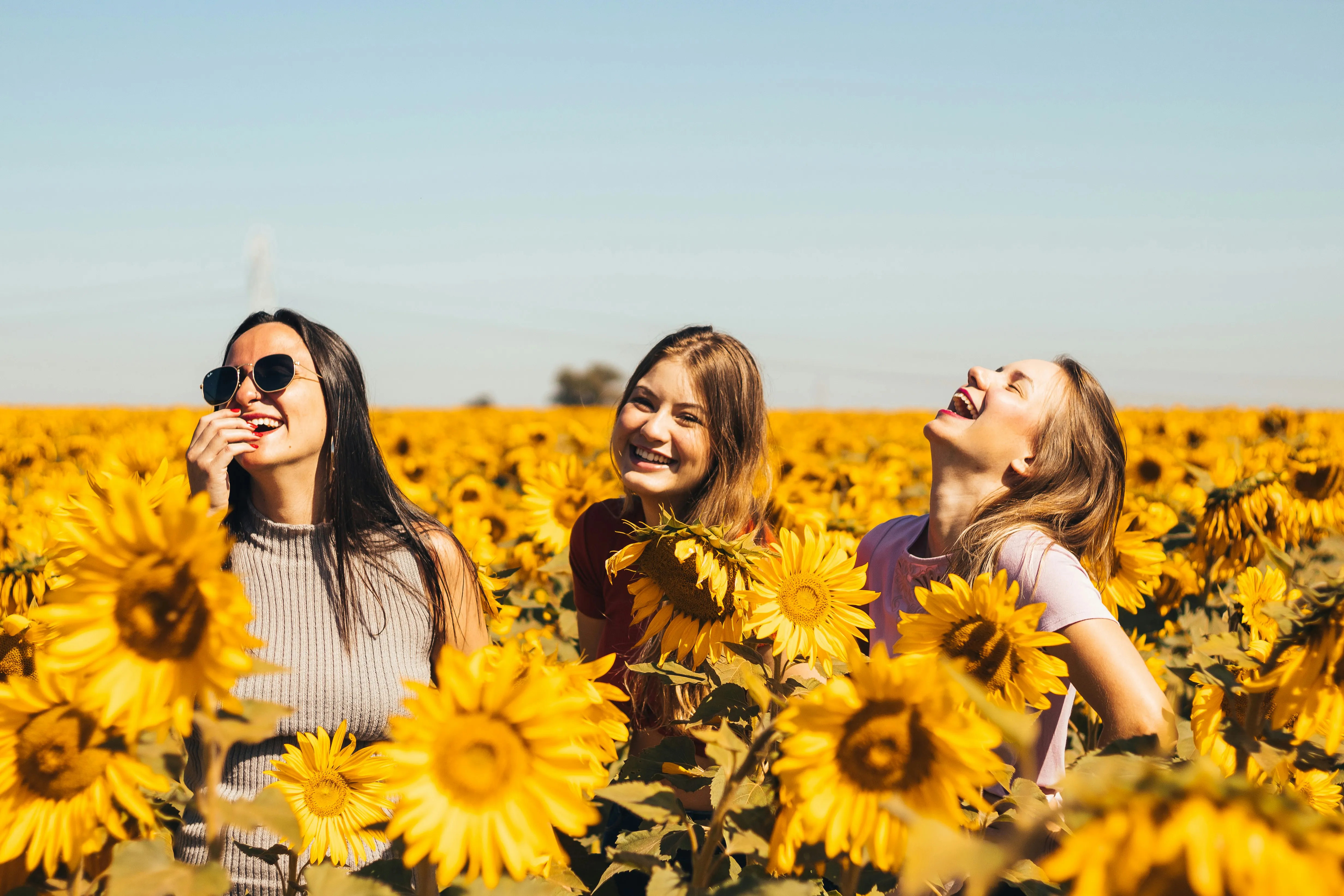 woman in white and black striped shirt standing on yellow sunflower field during daytime by Antonino Visalli courtesy of Unsplash.