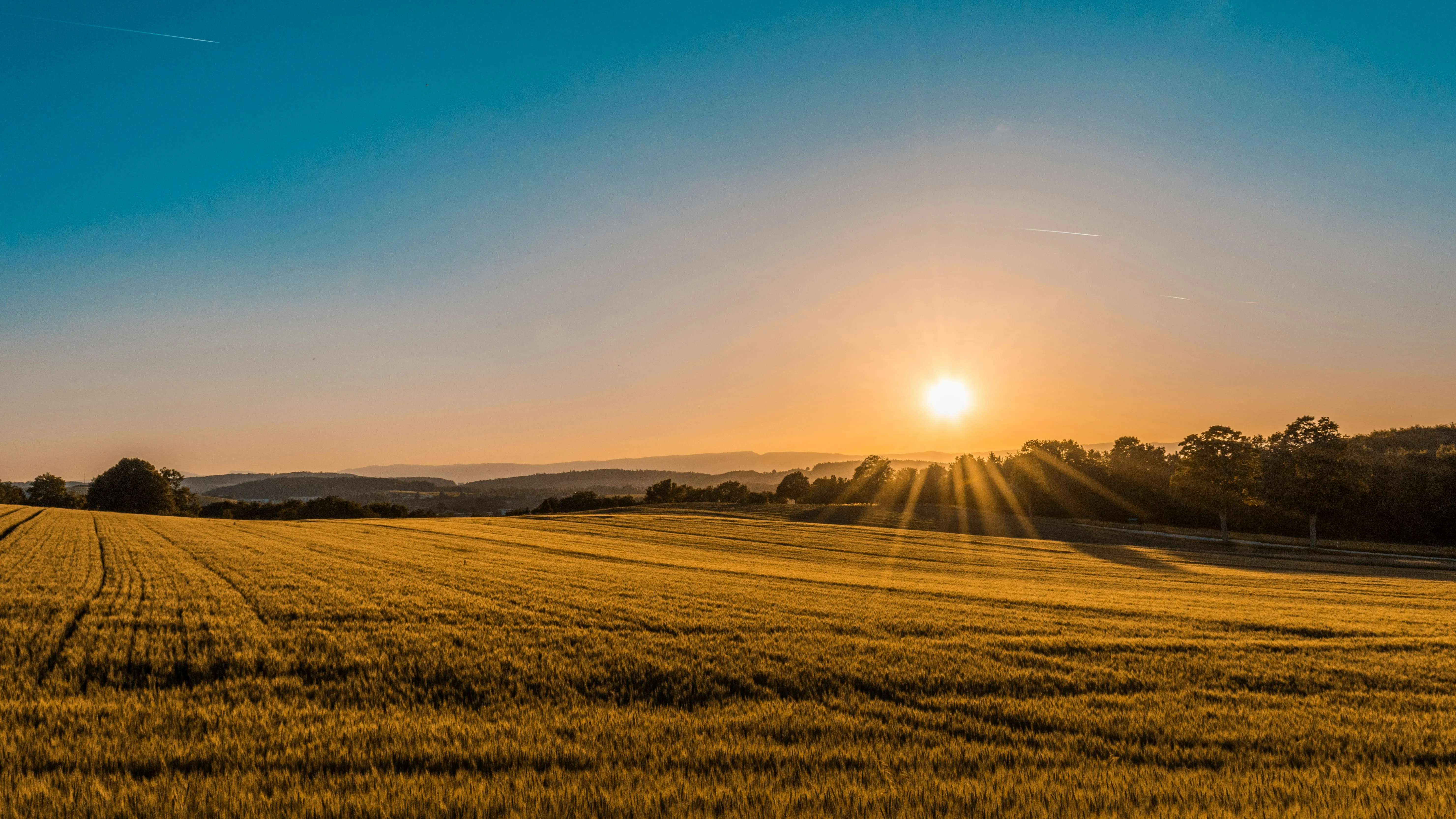 brown field near tree during daytime by Federico Respini courtesy of Unsplash.
